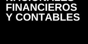 Estándares Internacionales Financieros y Contables