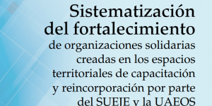 Sistematización del Fortalecimiento de Organizaciones Solidarias