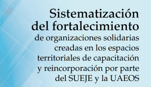 Lee más sobre el artículo Sistematización del Fortalecimiento de Organizaciones Solidarias