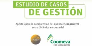 Estudio de Casos de Gestión: Aportes para la comprensión del quehacer cooperativo en su dinámica empresarial. Segunda Edición.