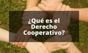 Lee más sobre el artículo ¿Qué es el Derecho Cooperativo?