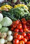 Economía popular y municipios contra el hambre