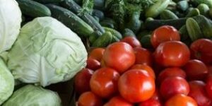Economía popular y municipios contra el hambre