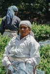 Las organizaciones comunales como gestoras de reactivación económica: mercados campesinos solidarios en el municipio El Playón, Santander, Colombia 2020.