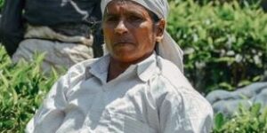 Las organizaciones comunales como gestoras de reactivación económica: mercados campesinos solidarios en el municipio El Playón, Santander, Colombia 2020.