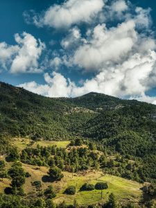 Lee más sobre el artículo Conceptualización de la Empresa Como Territorio, Base Para Una Mejor Transformación Social Interna