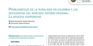 Problemáticas de la ruralidad en Colombia y las deficiencias del mercado interno regional: la apuesta cooperativa.