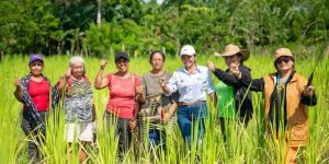 Desarrollo de capacidades asociativas como eje de la formación solidaria.