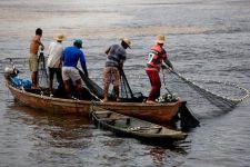 Factores que intervienen en la perdurabilidad de las asociaciones pesqueras y cómo pueden contribuir a la soberanía alimentaria y al desarrollo rural